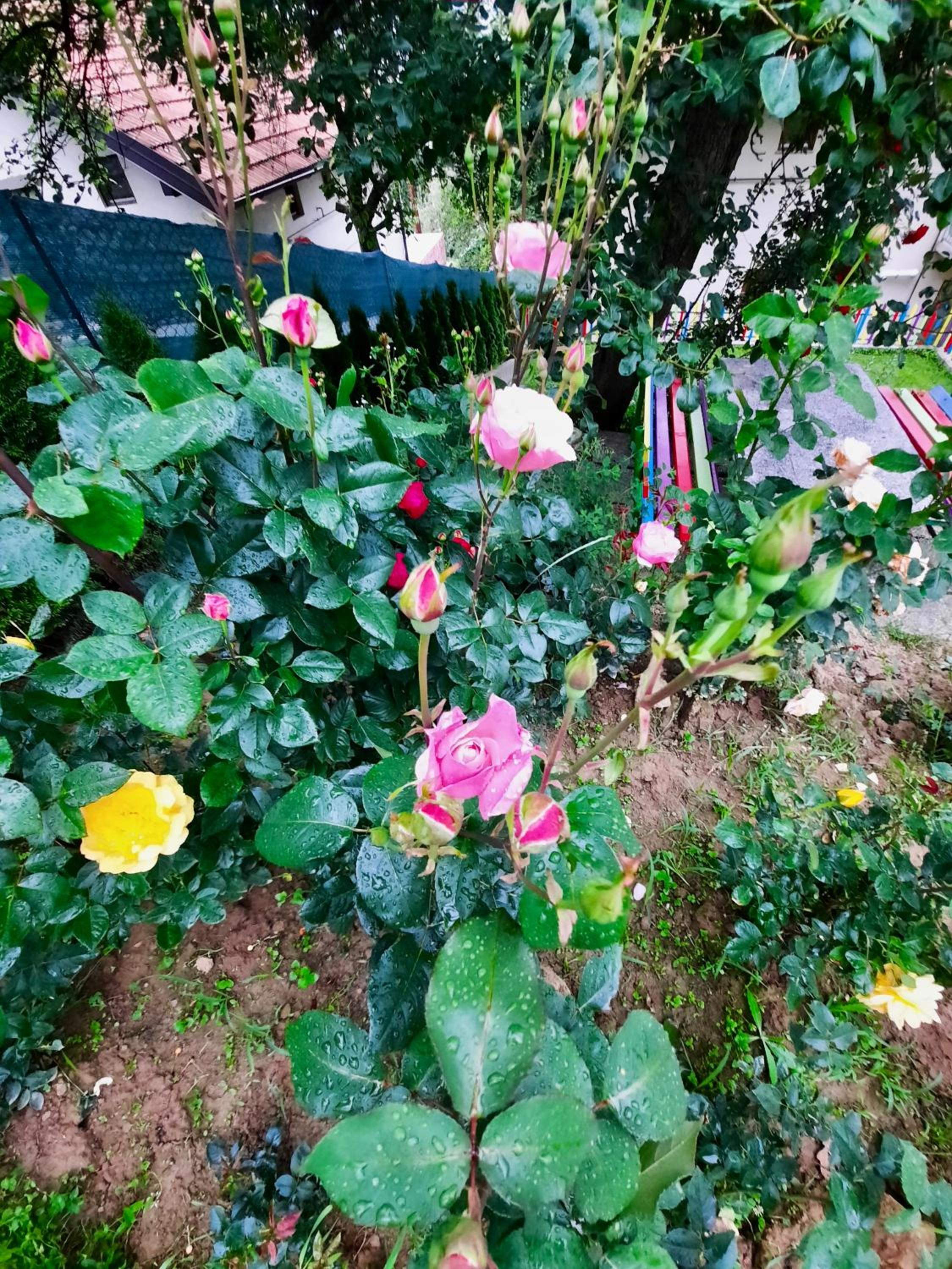 Sarajevo Flower Garden