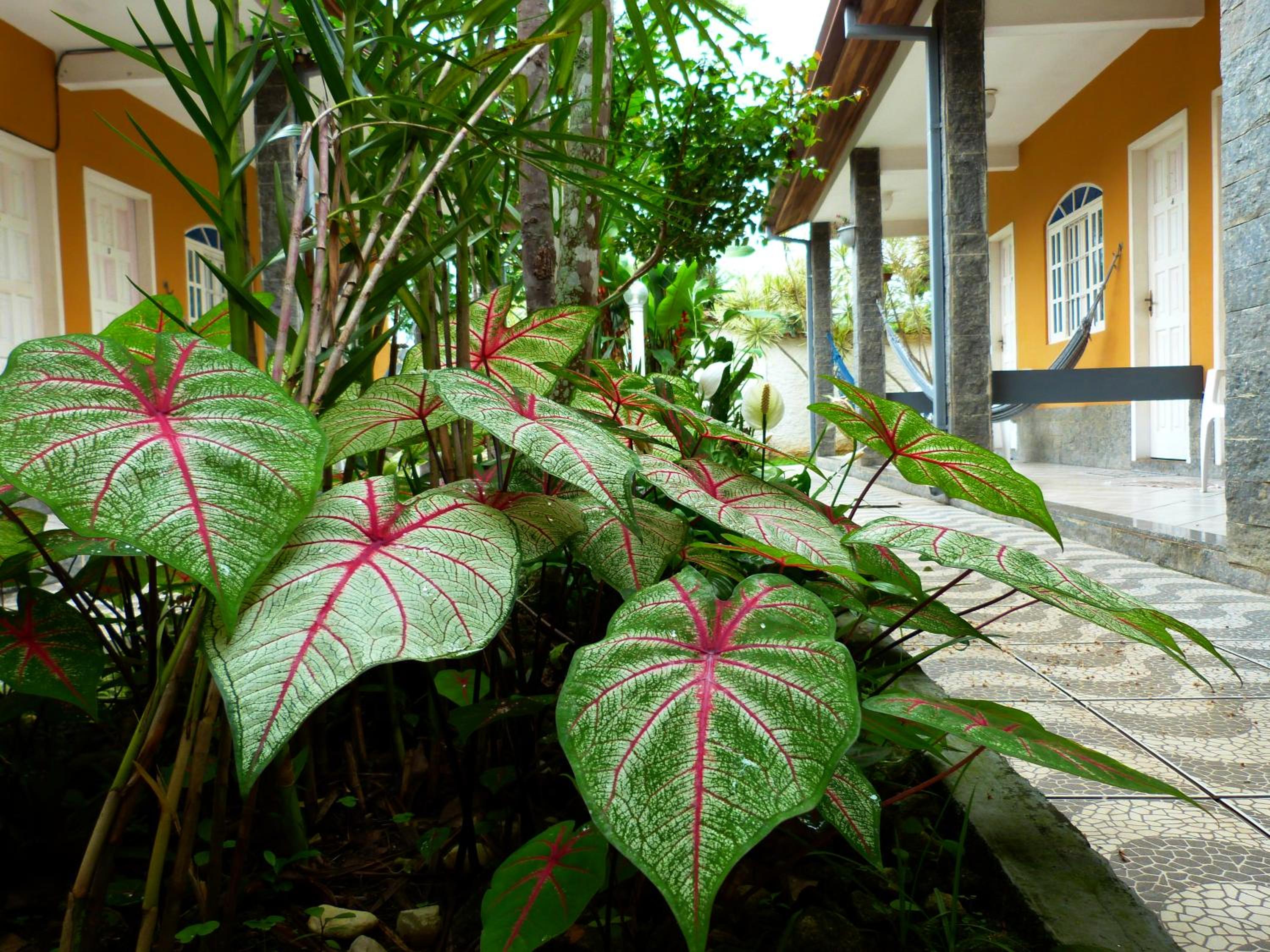 Villa do Sonho Pousada Hotel