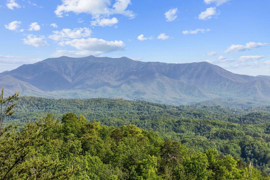 Mountain Paradise by Eden Crest view 3