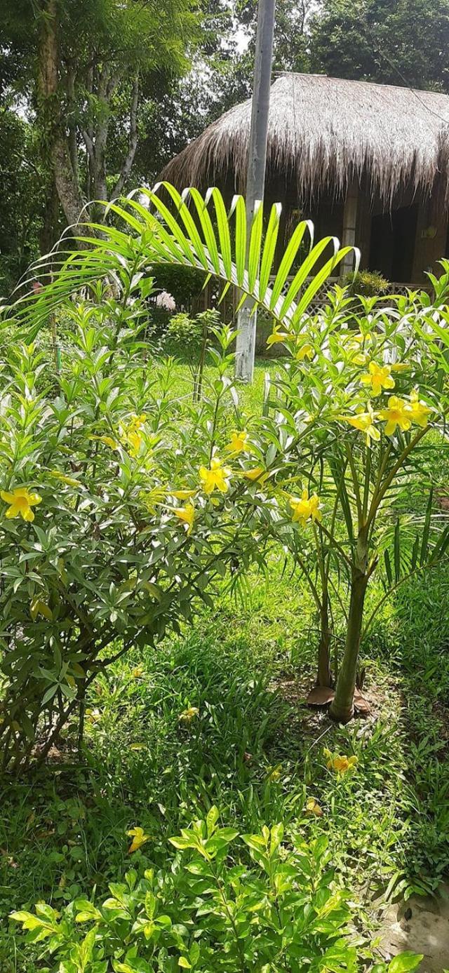 Litchibari Eco Resort