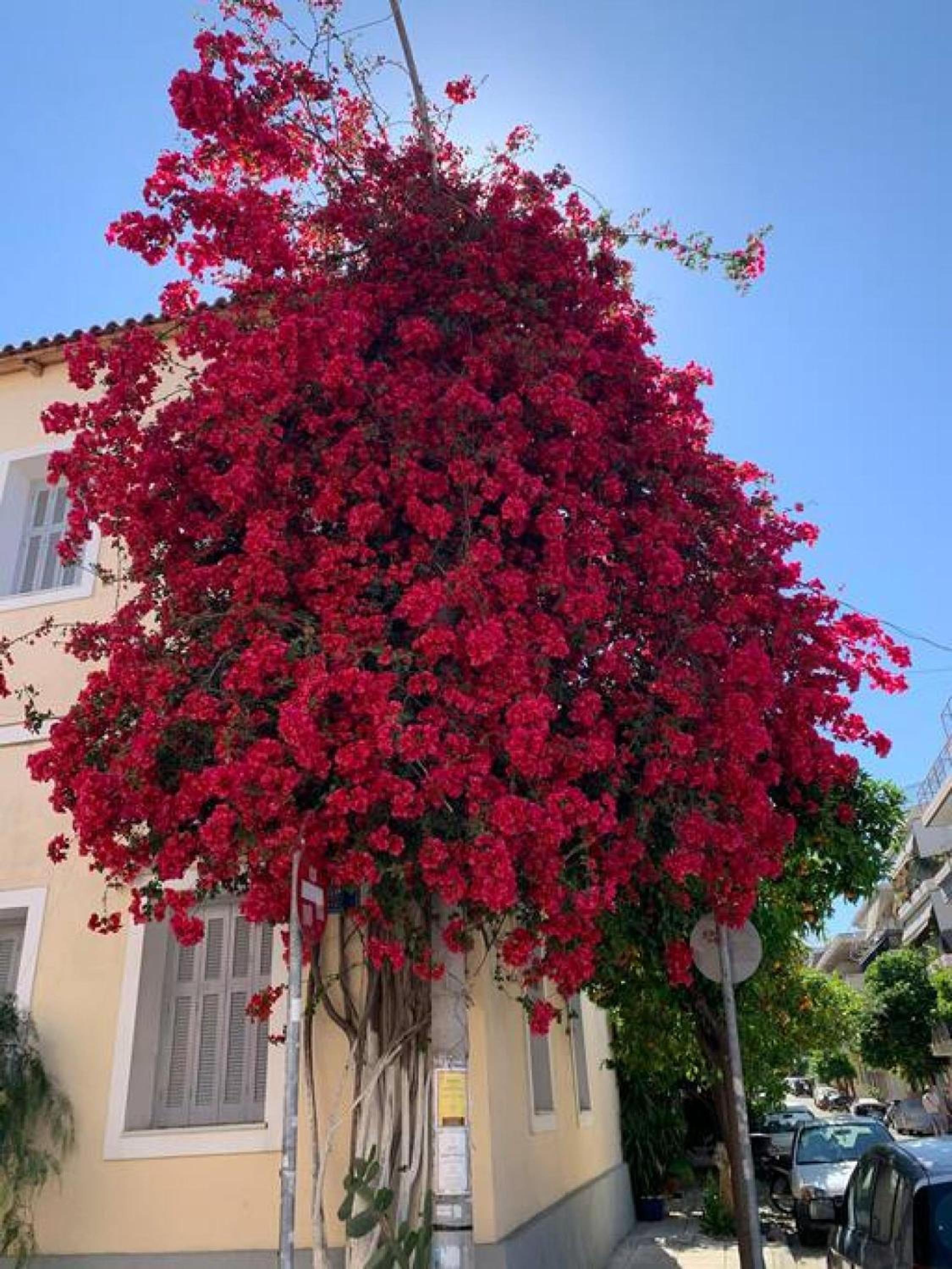 Comfortable Living in Athens 2BR Apartment