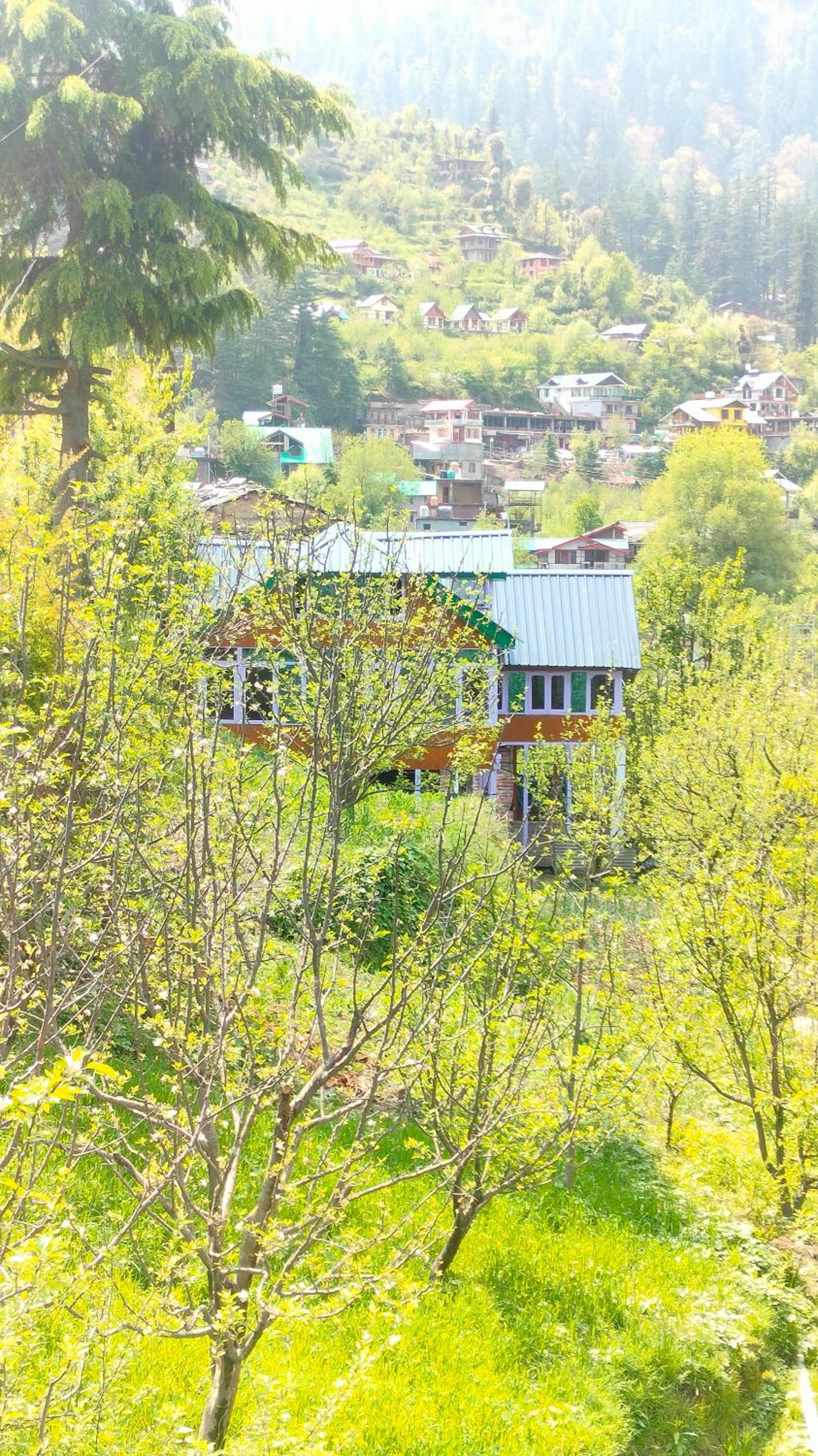 Mother's eco lodge view 3