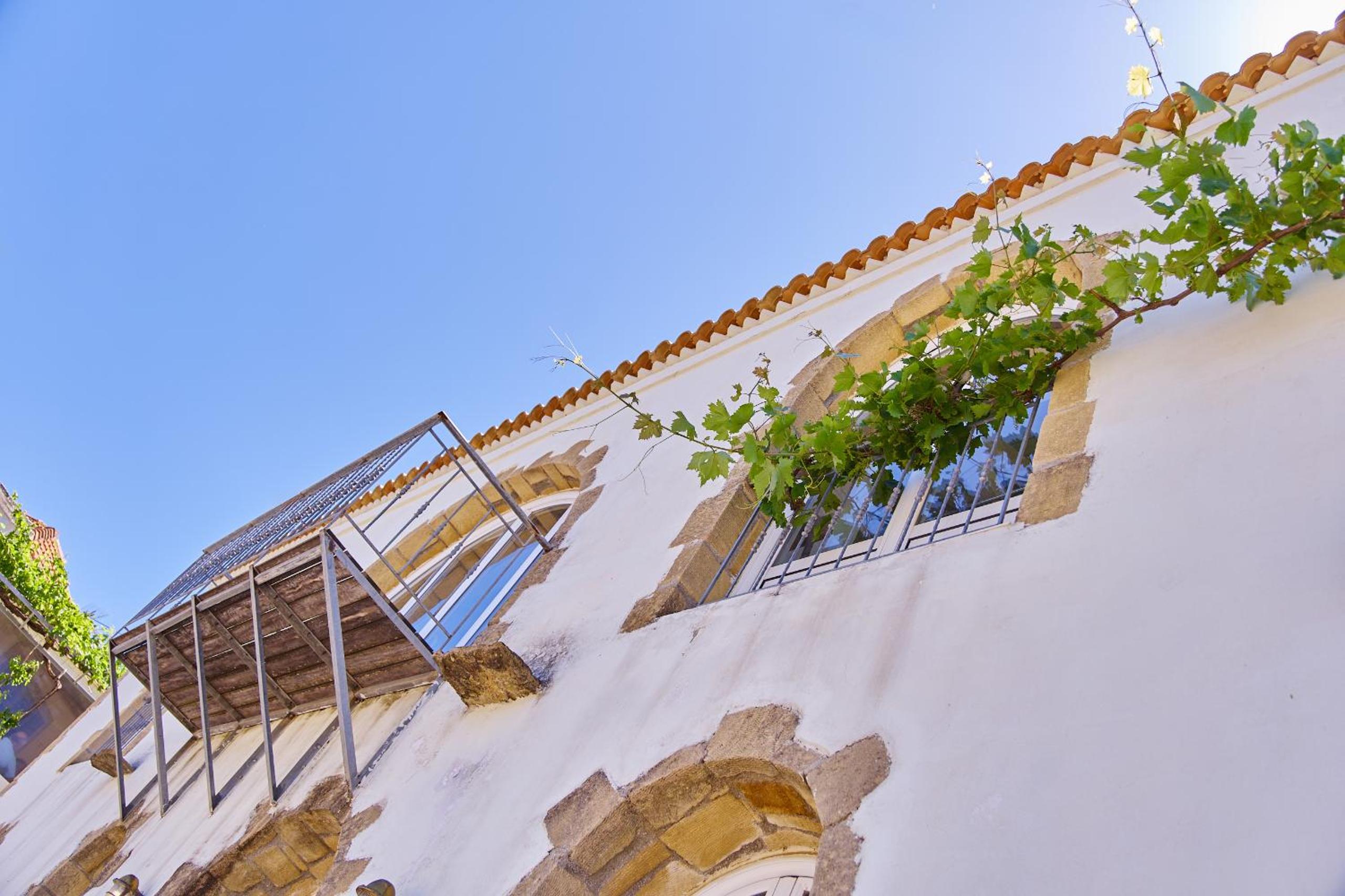 Villa Elaiona in countryside with mountain views