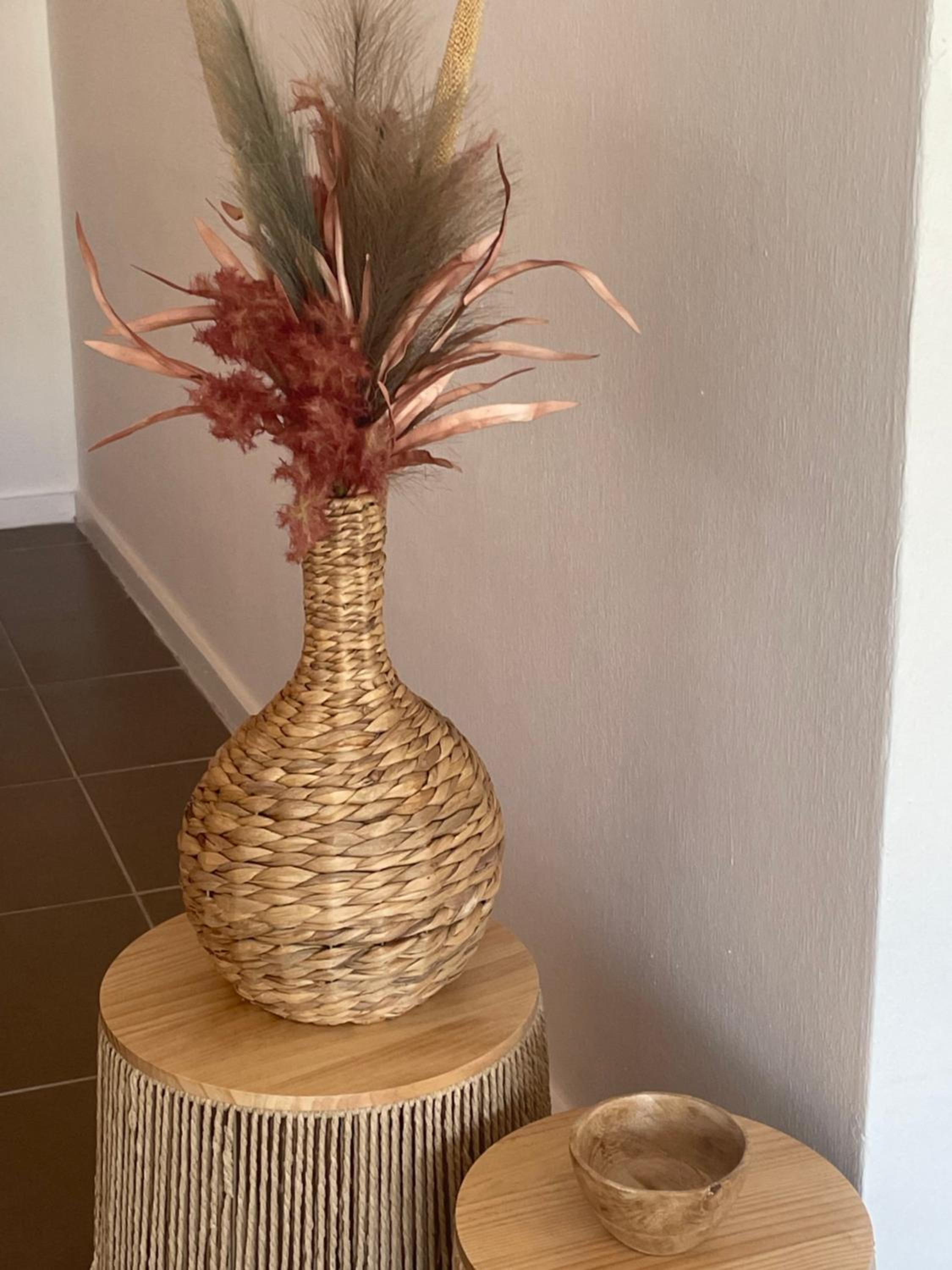appartement Axelle 2