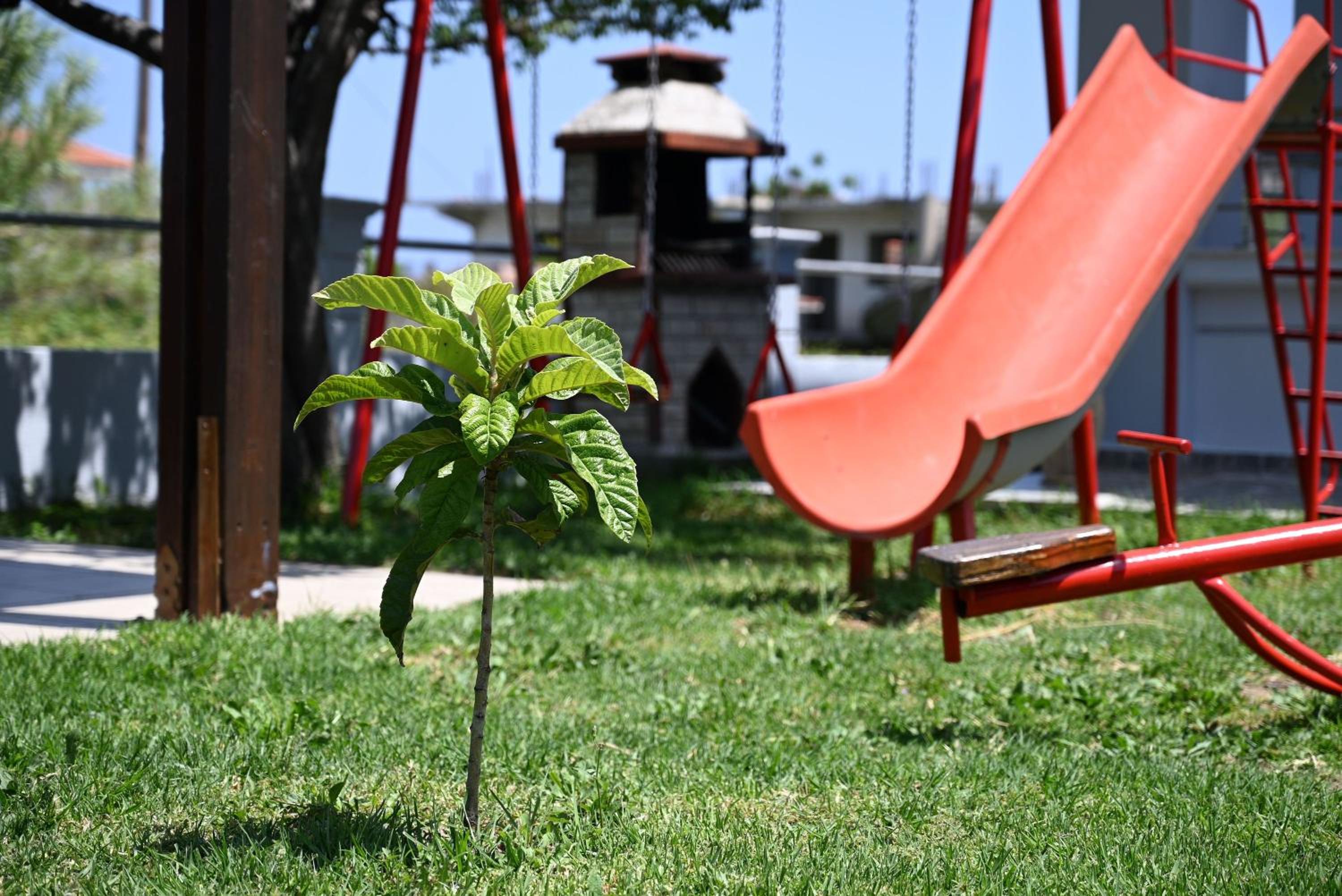 Amaya House near the Beach