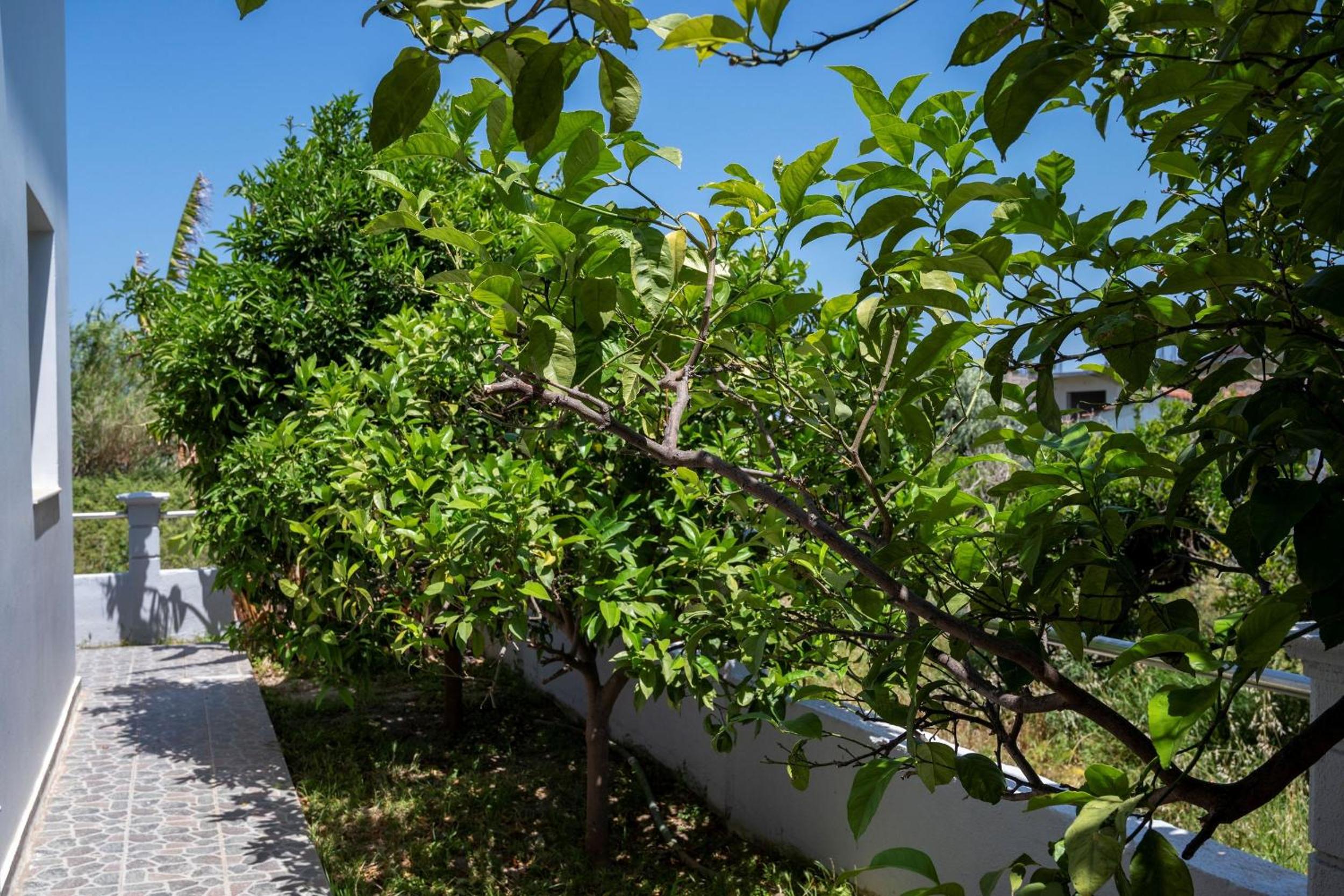 Amaya House near the Beach