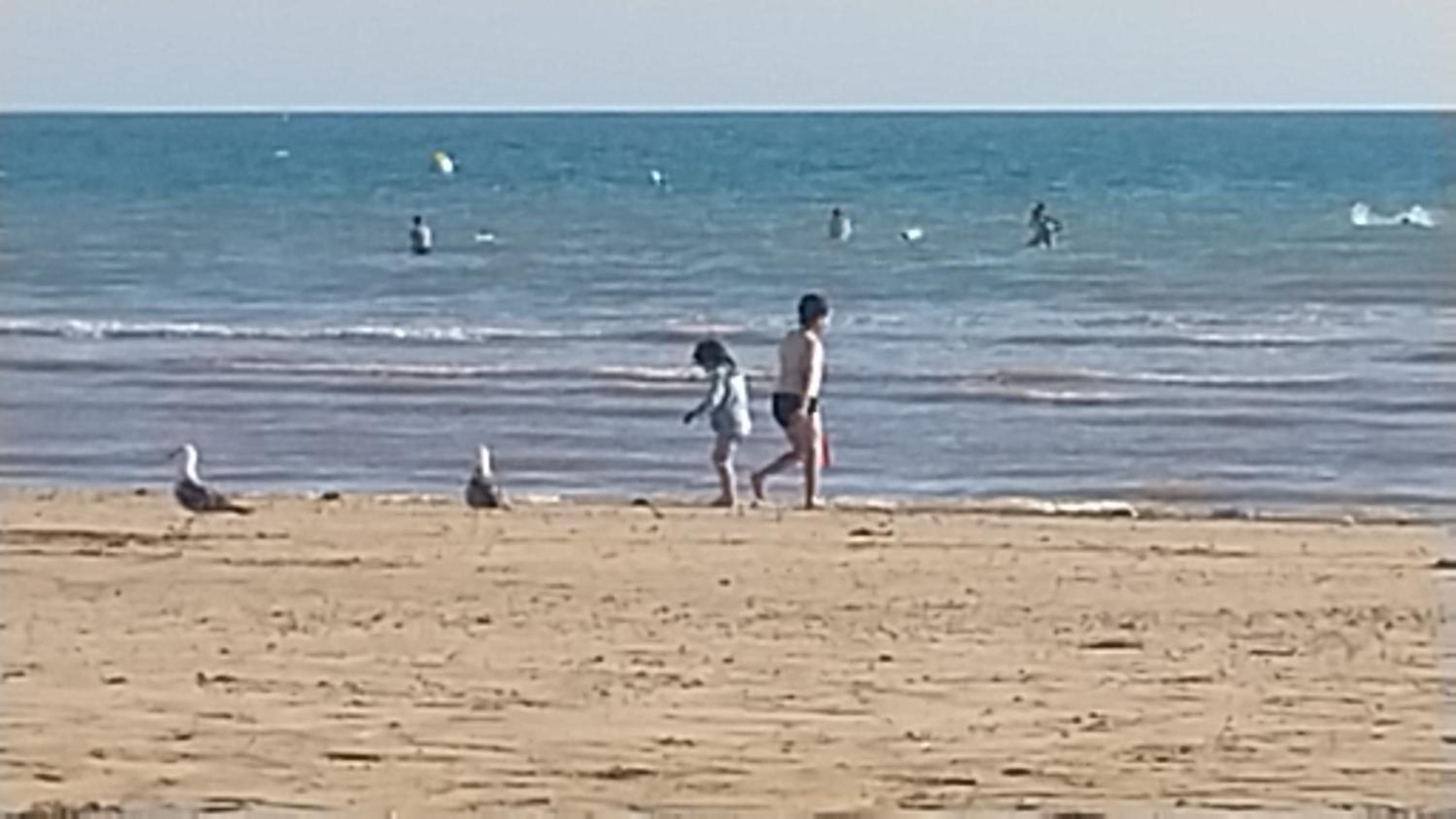 human