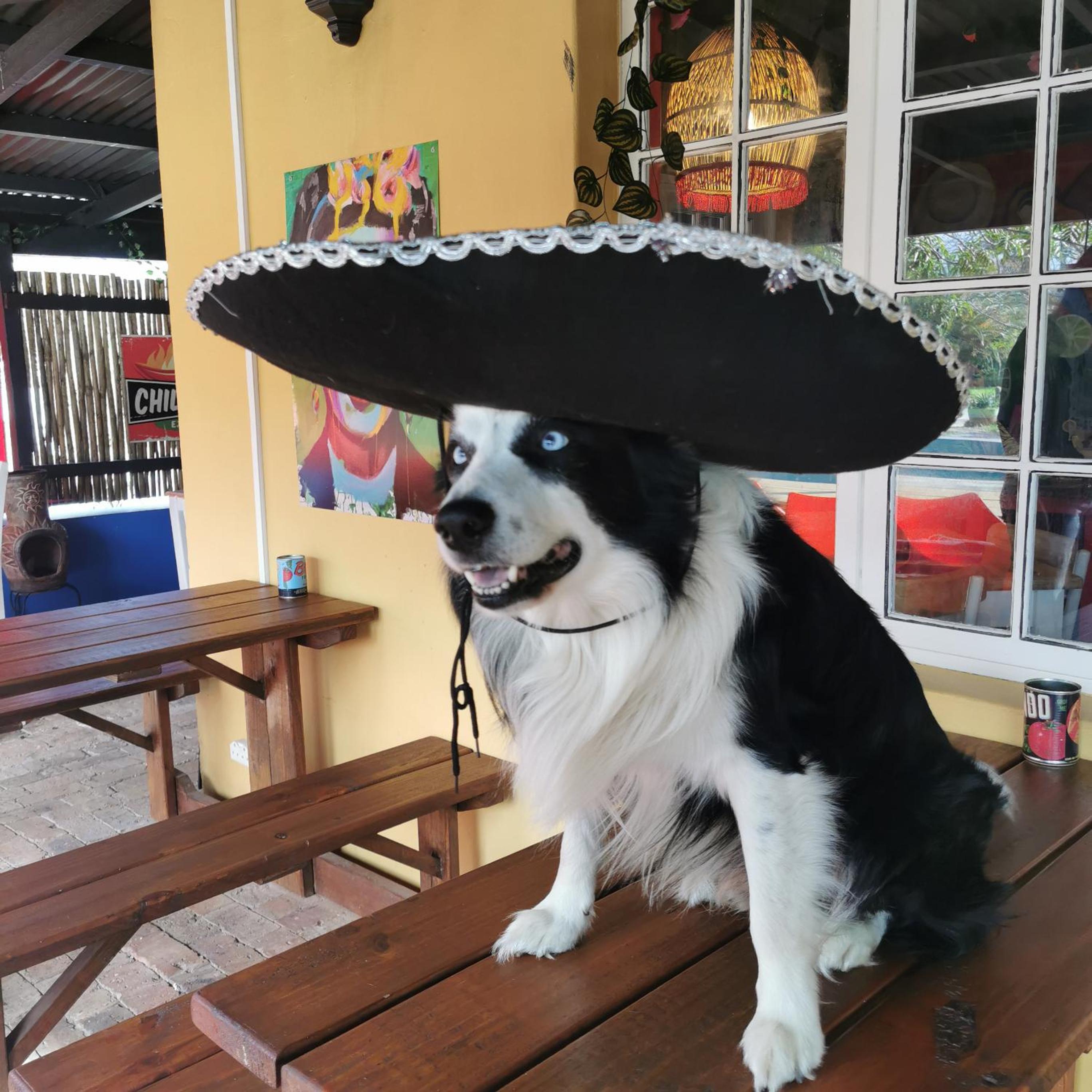 LACASITA STANFORD Quirky self-catering accommodation