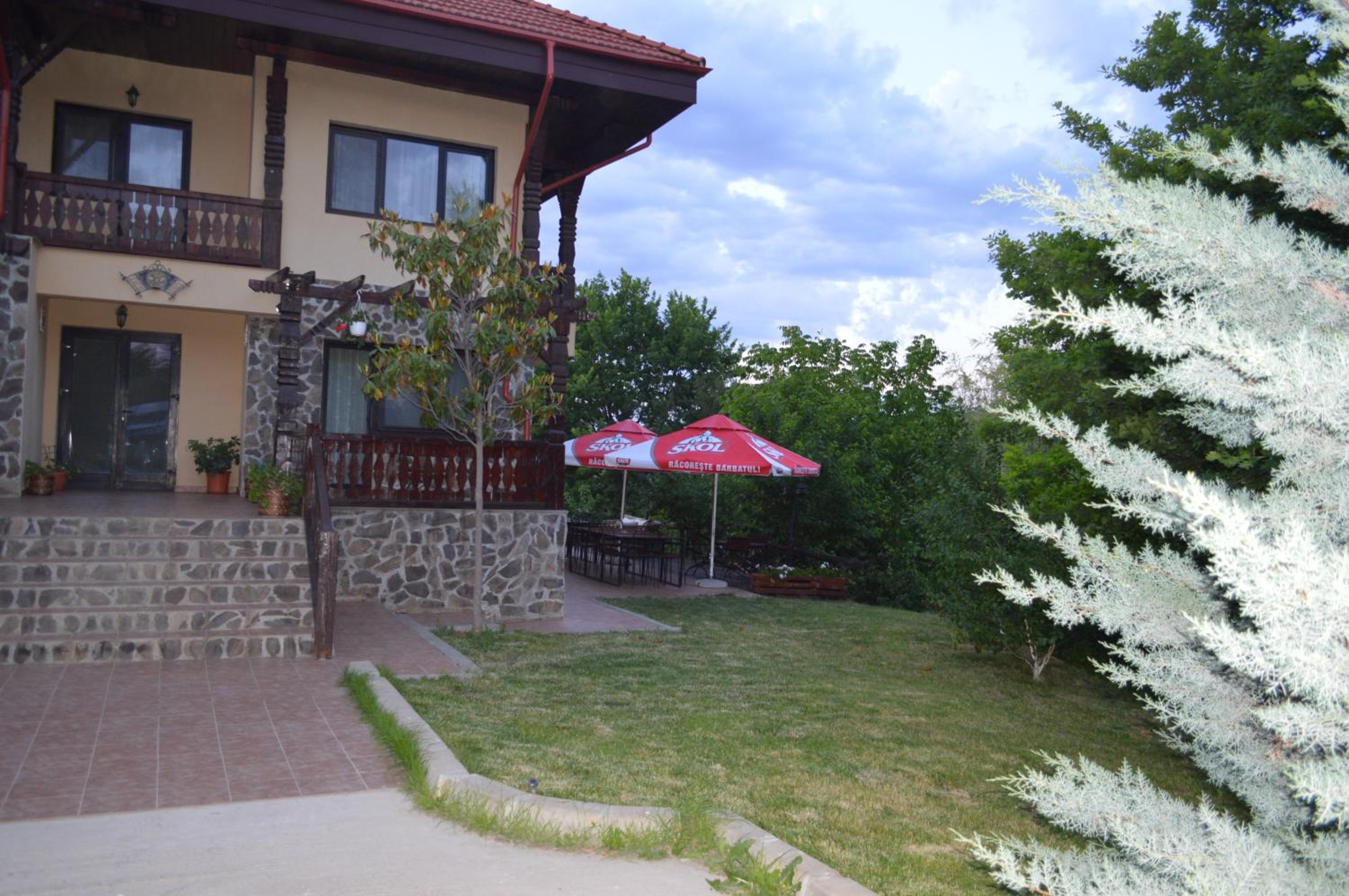 Photo 46