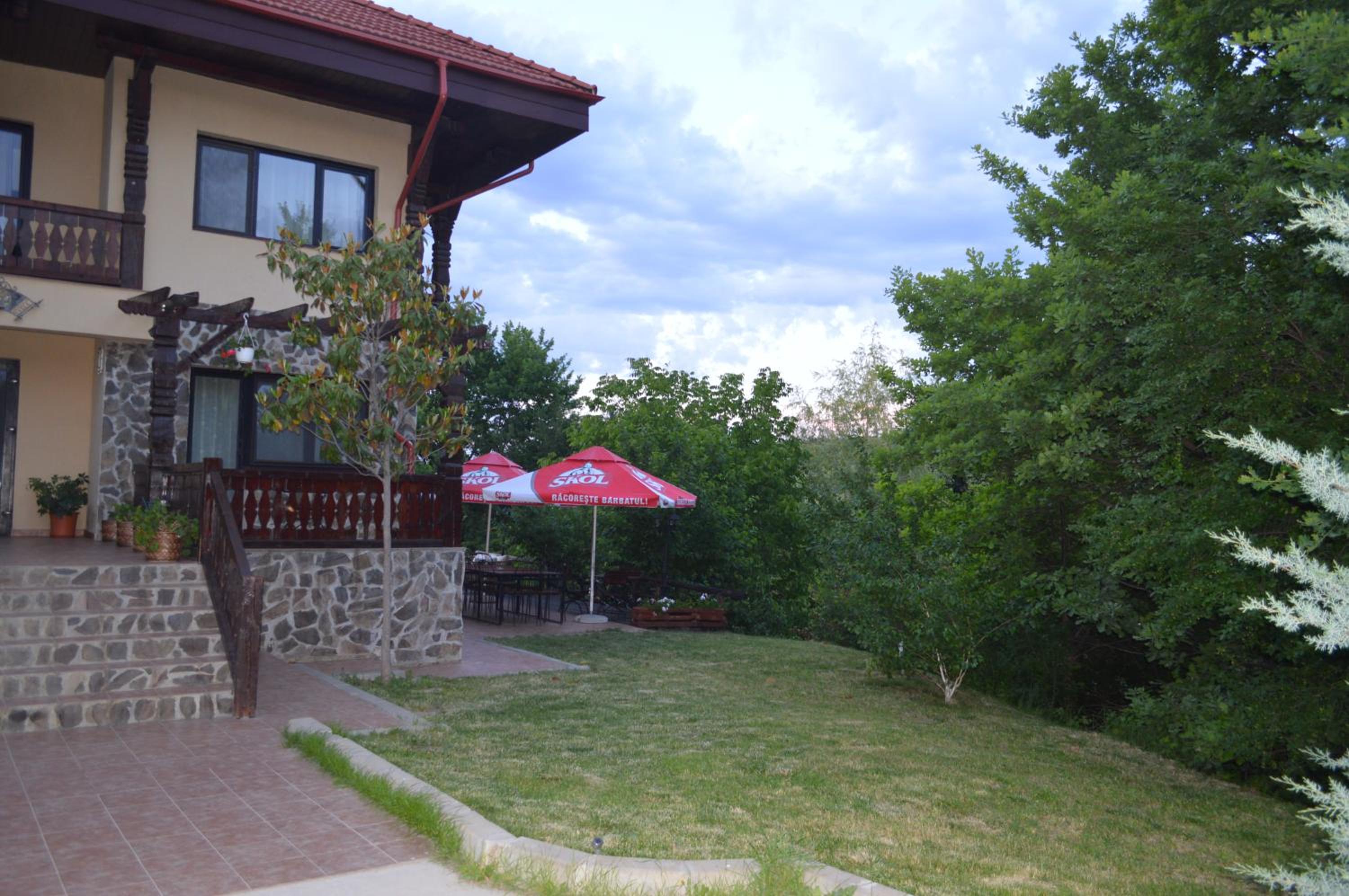 Photo 47