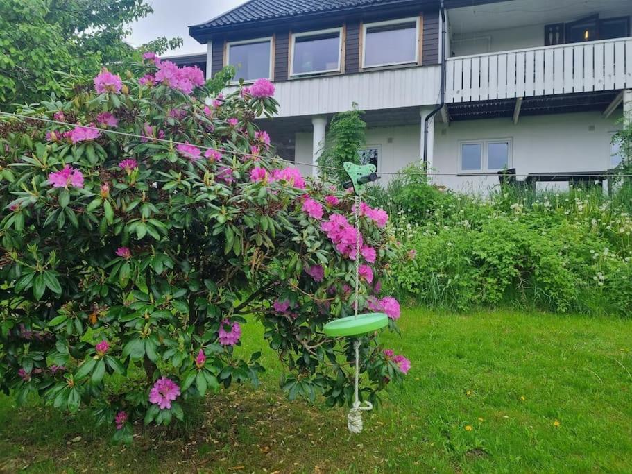 Idyllisk ved sjøen, photo 22