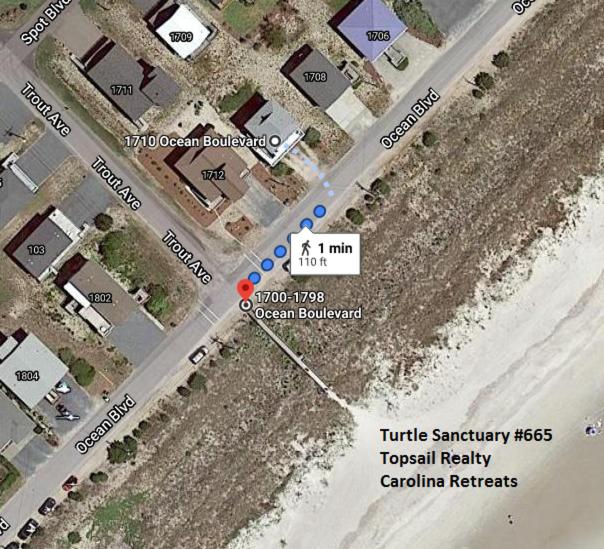 Turtle Sanctuary