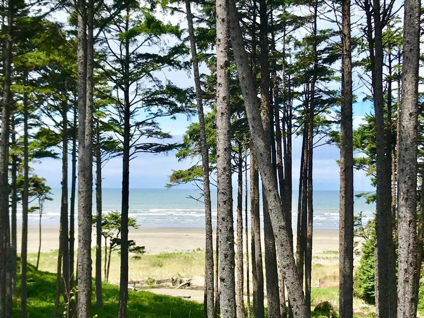 The Beach House by Seabrook Hospitality view 2