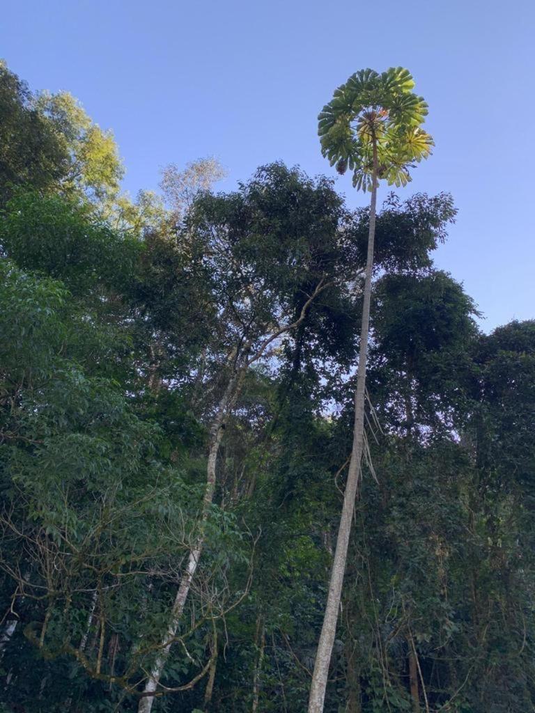 Sana - Chácara Canto do Tiê - 15 hospedes