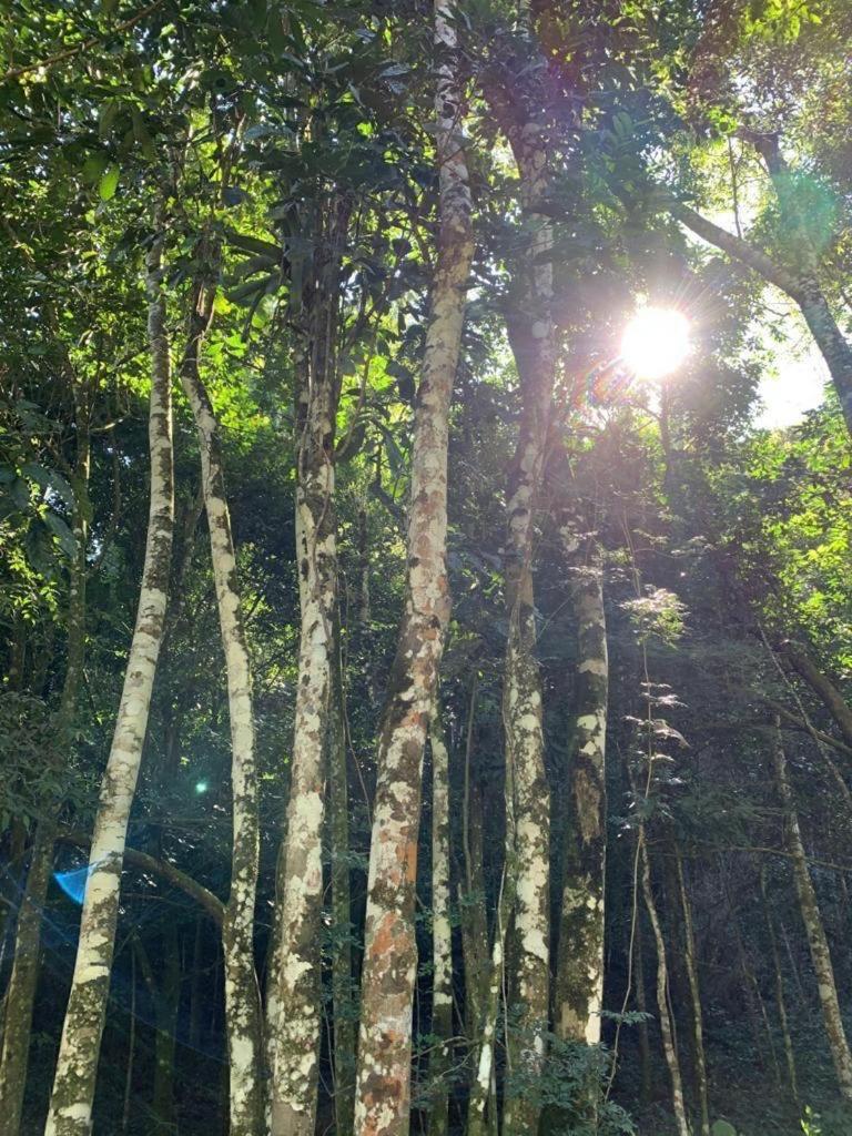 Sana - Chácara Canto do Tiê - 15 hospedes