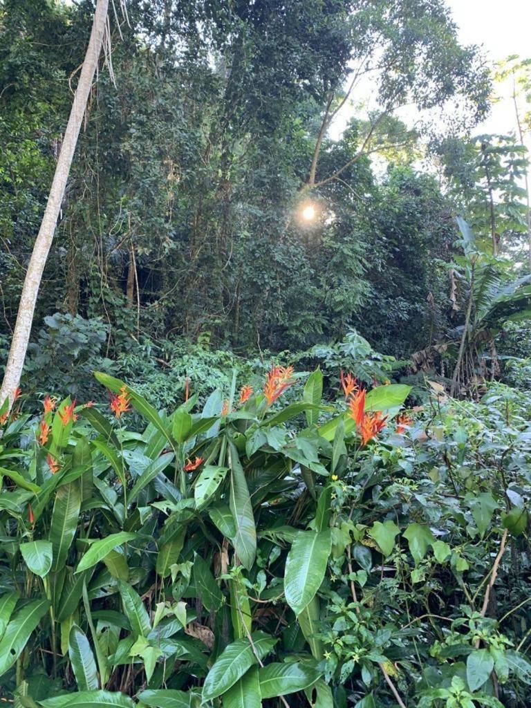 Sana - Chácara Canto do Tiê - 15 hospedes