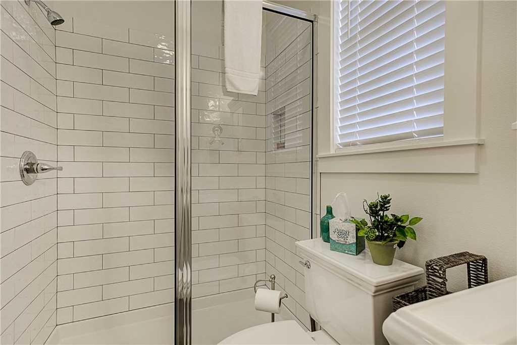 Silver Seadream by Seabrook Hospitality