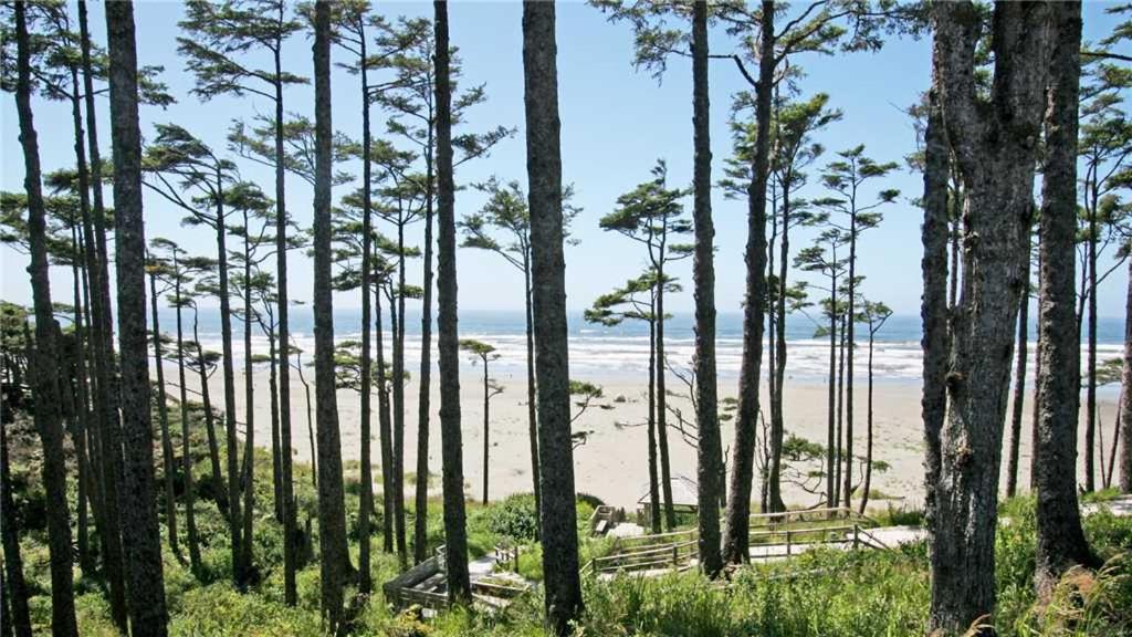 The Seaberry by Seabrook Hospitality view 2