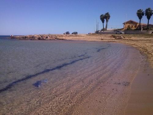 Photo 51