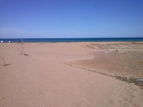 Photo 52