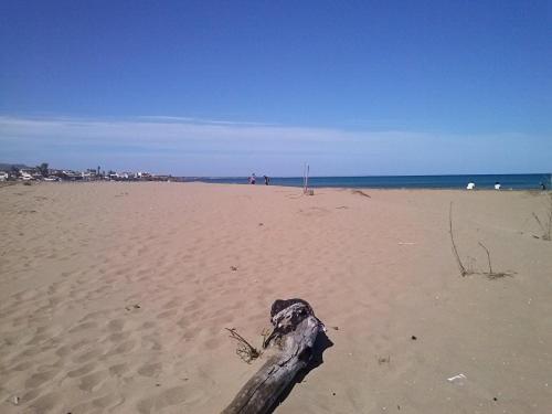 Photo 53