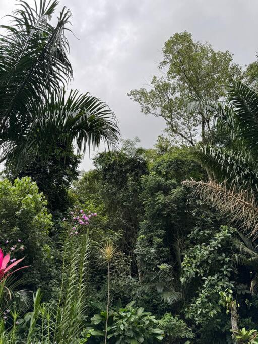 Paraíso do Sana