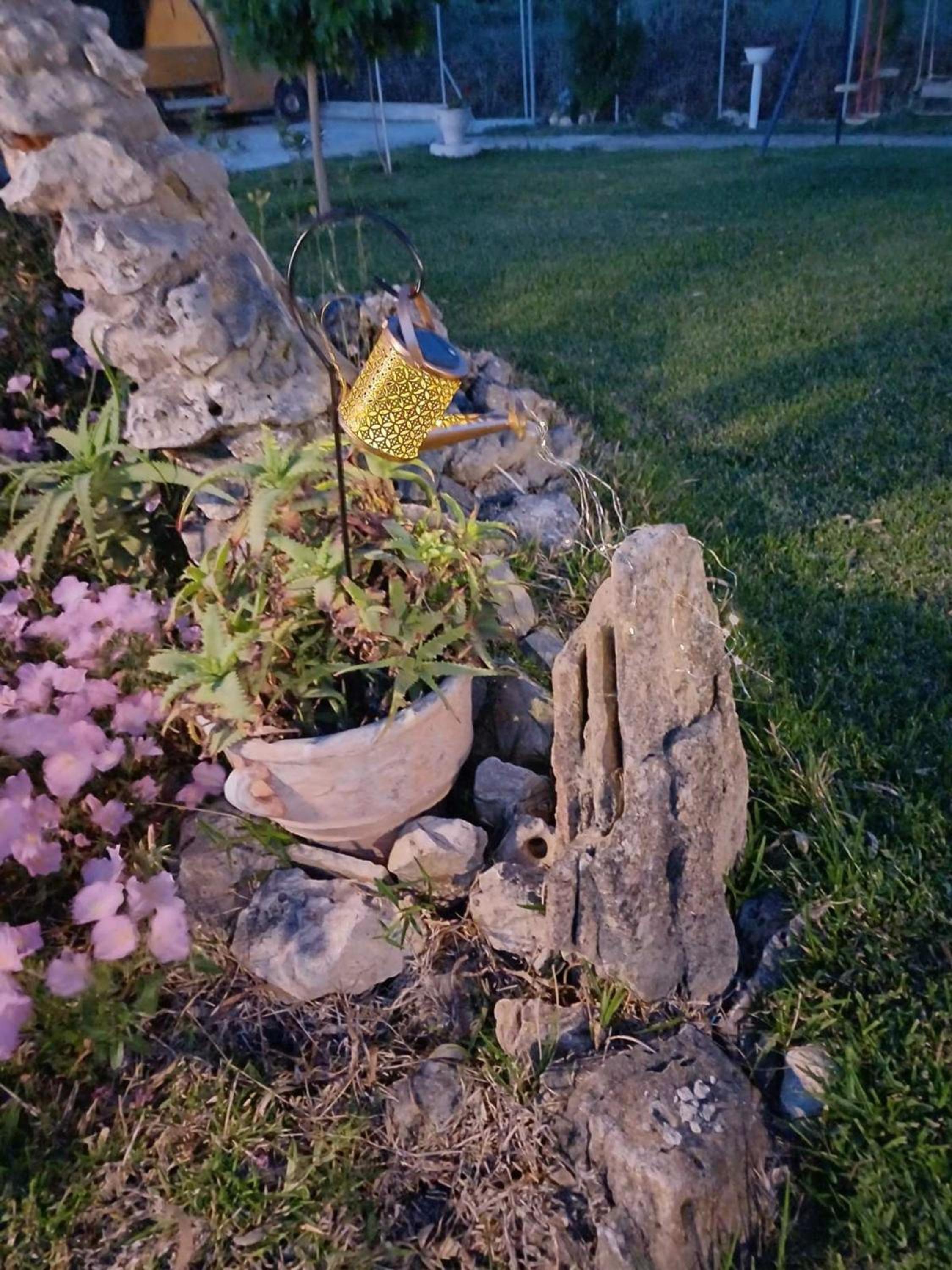 Photo 28