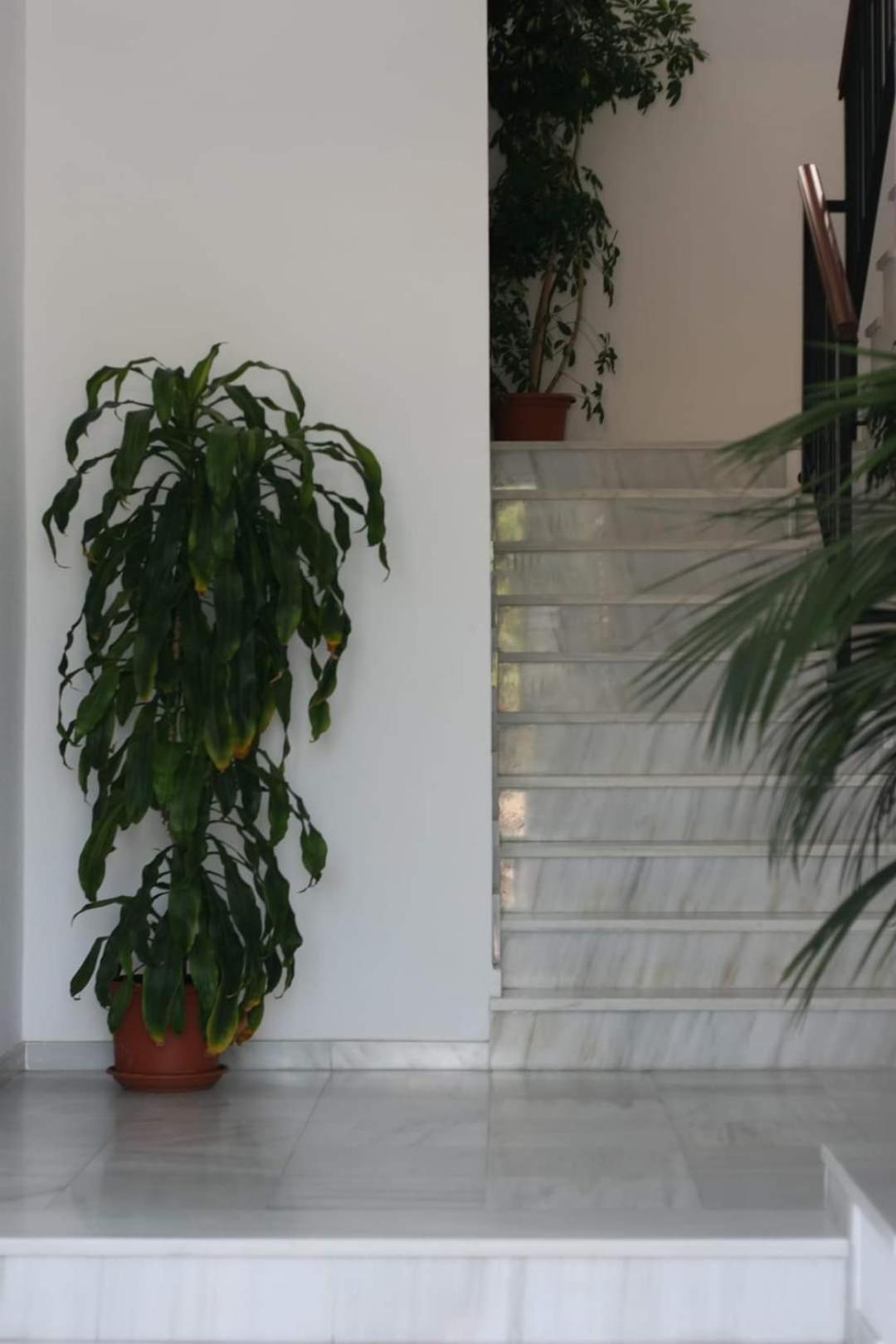 Apartamento Conil - Casa Pilar view 2