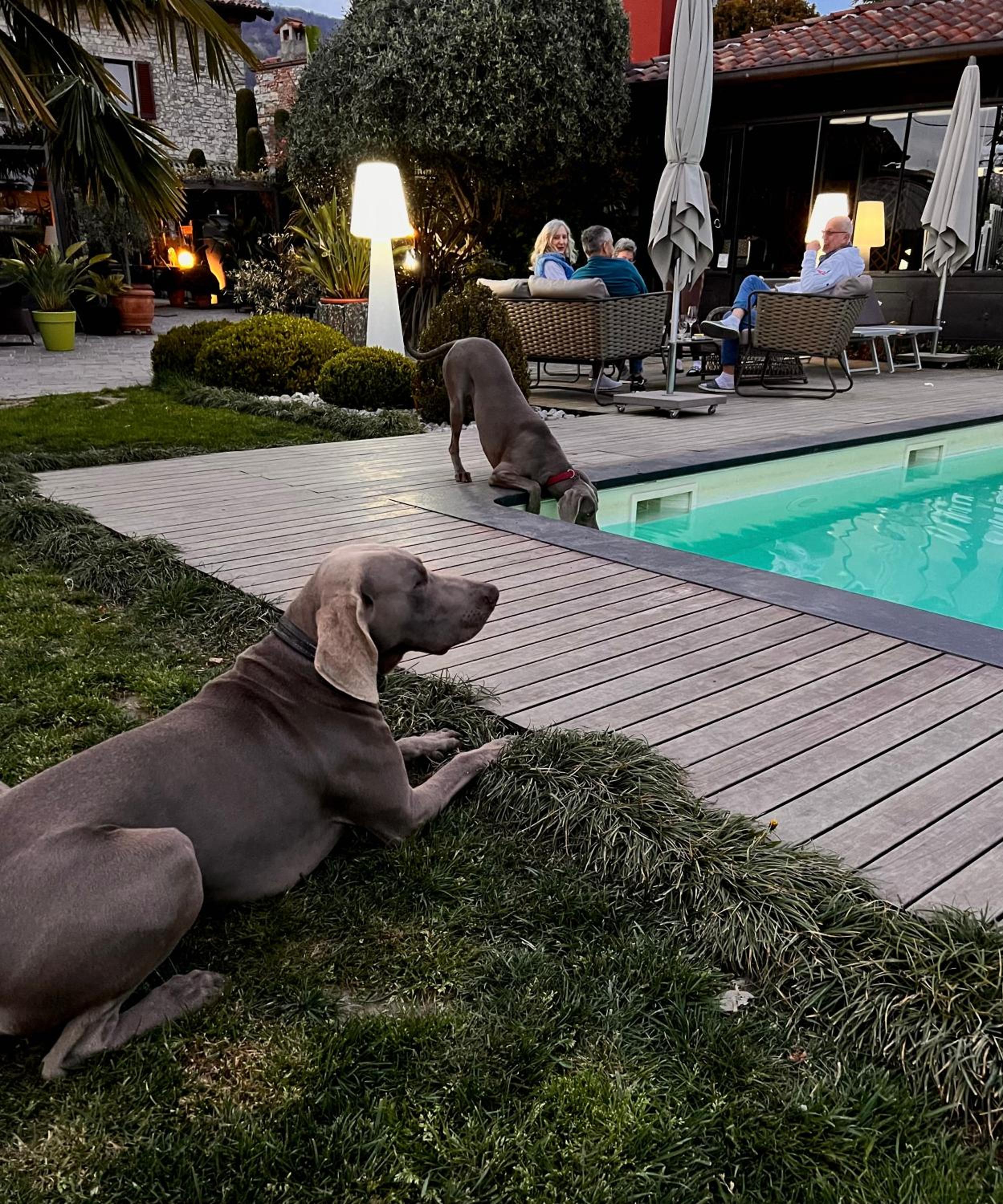 Heidi Bed and Breakfast, photo 18