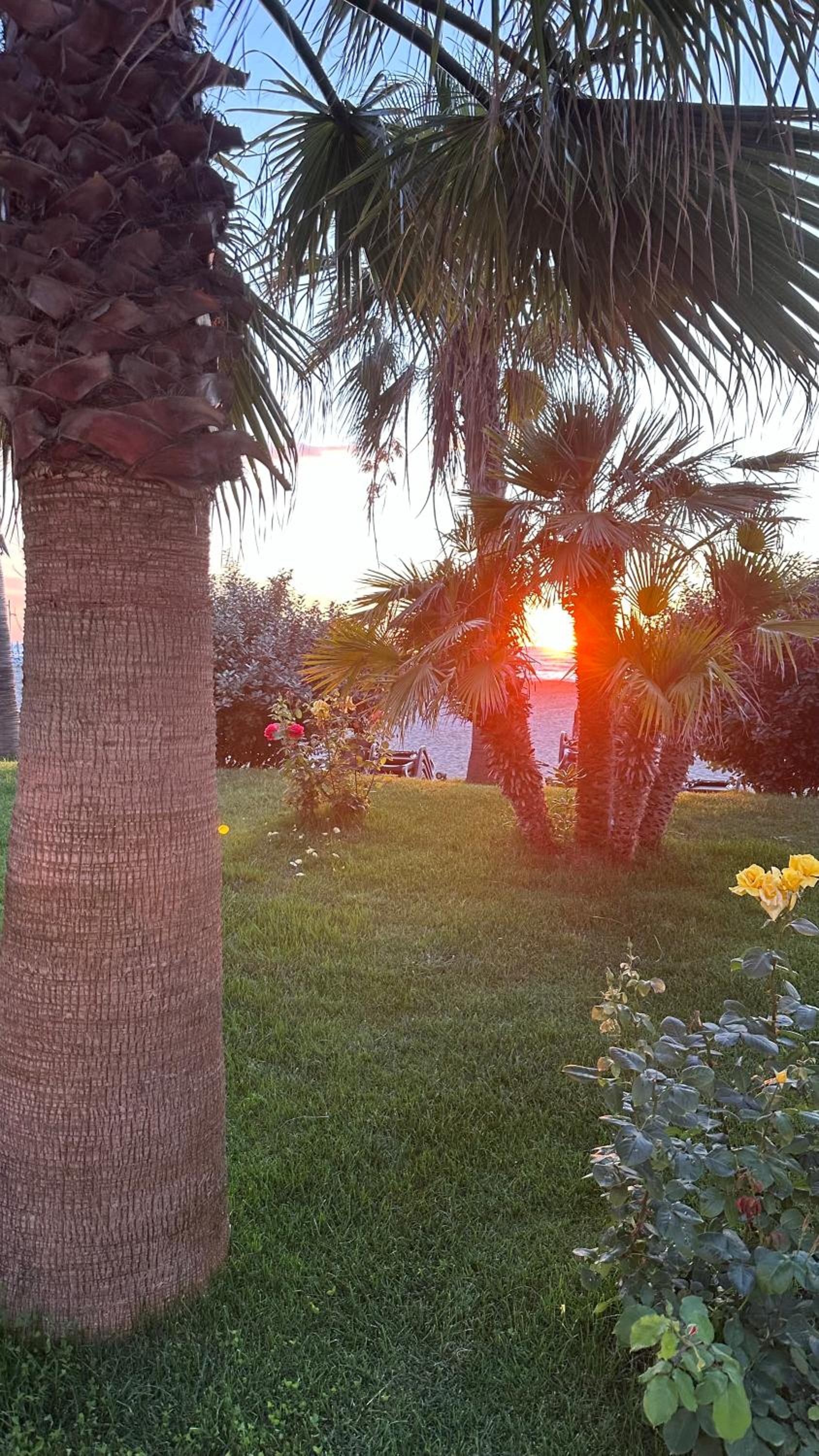 Deluxe Garden Apartment at Marea Resort