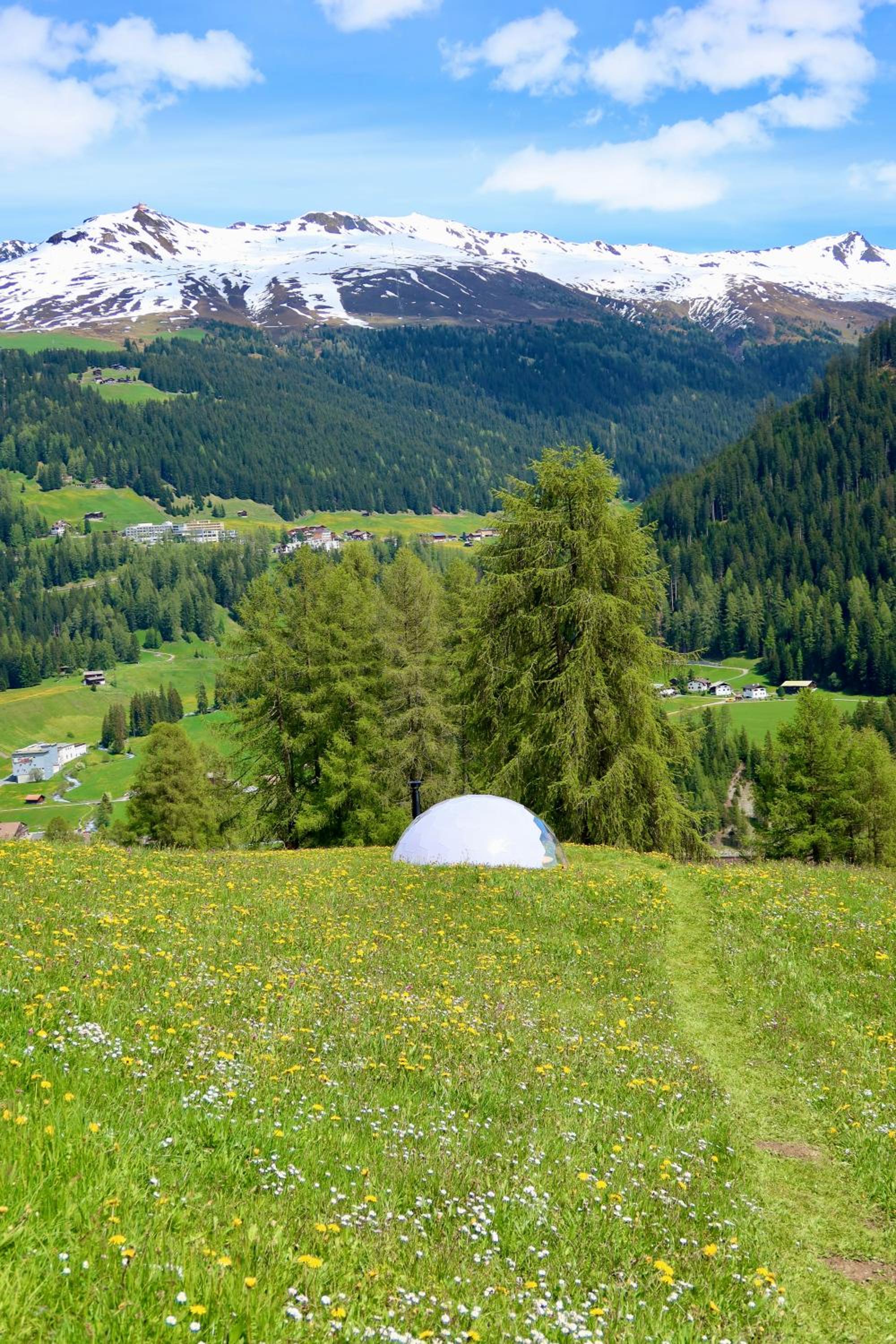 Naturedome Hof Camenisch
