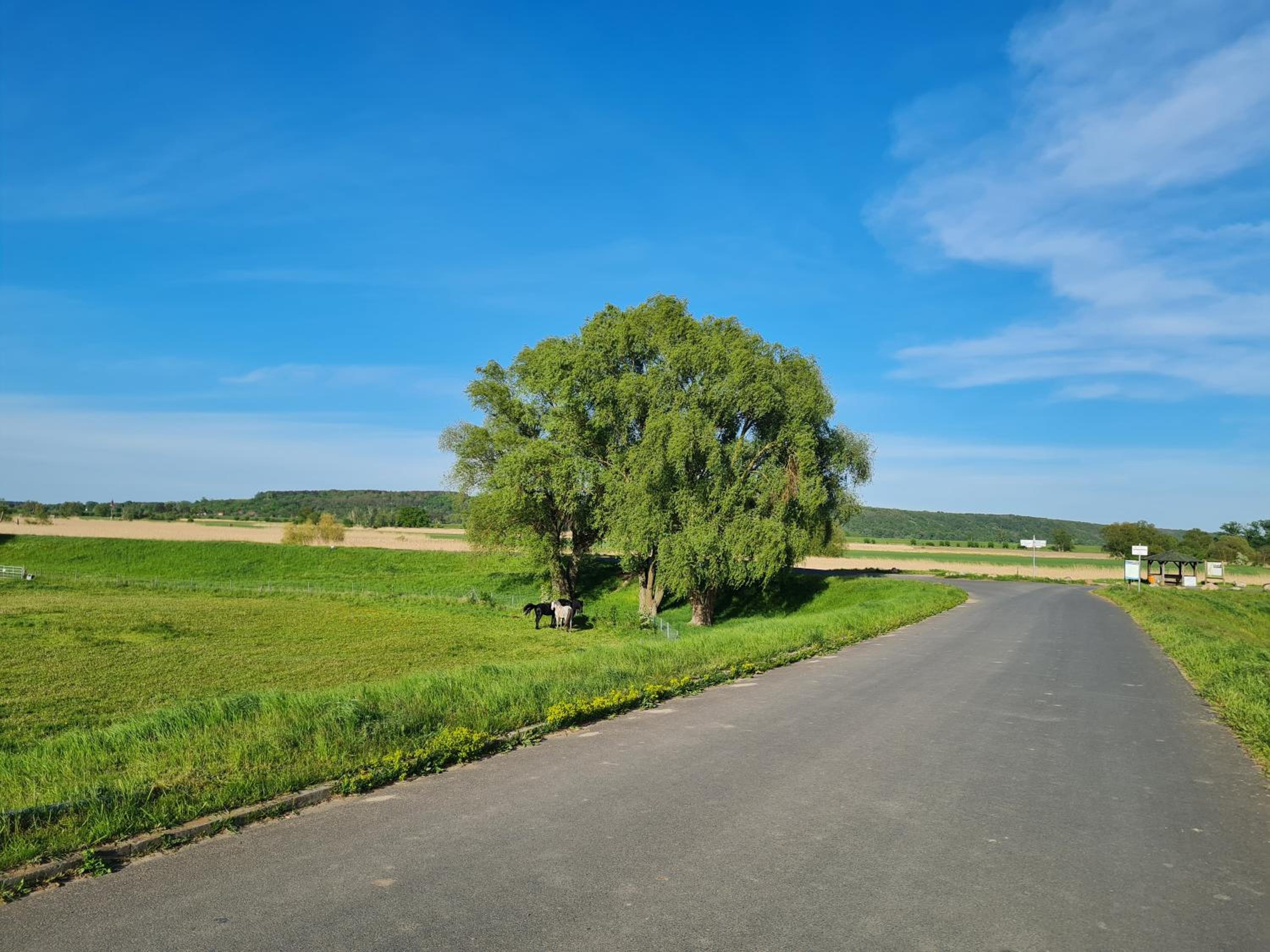 Ferienwohnungen Stolzenhagener 7