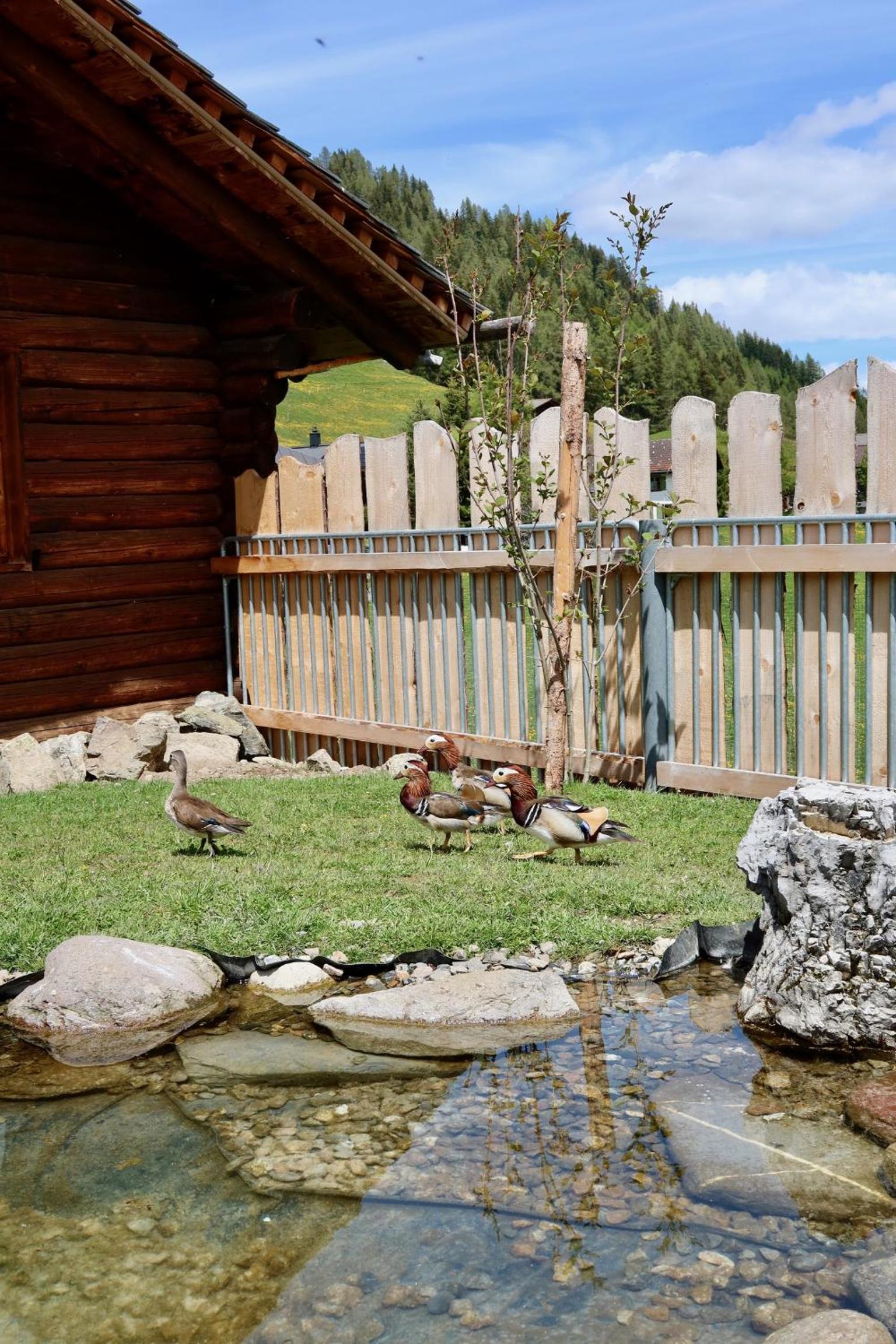 Naturedome Hof Camenisch