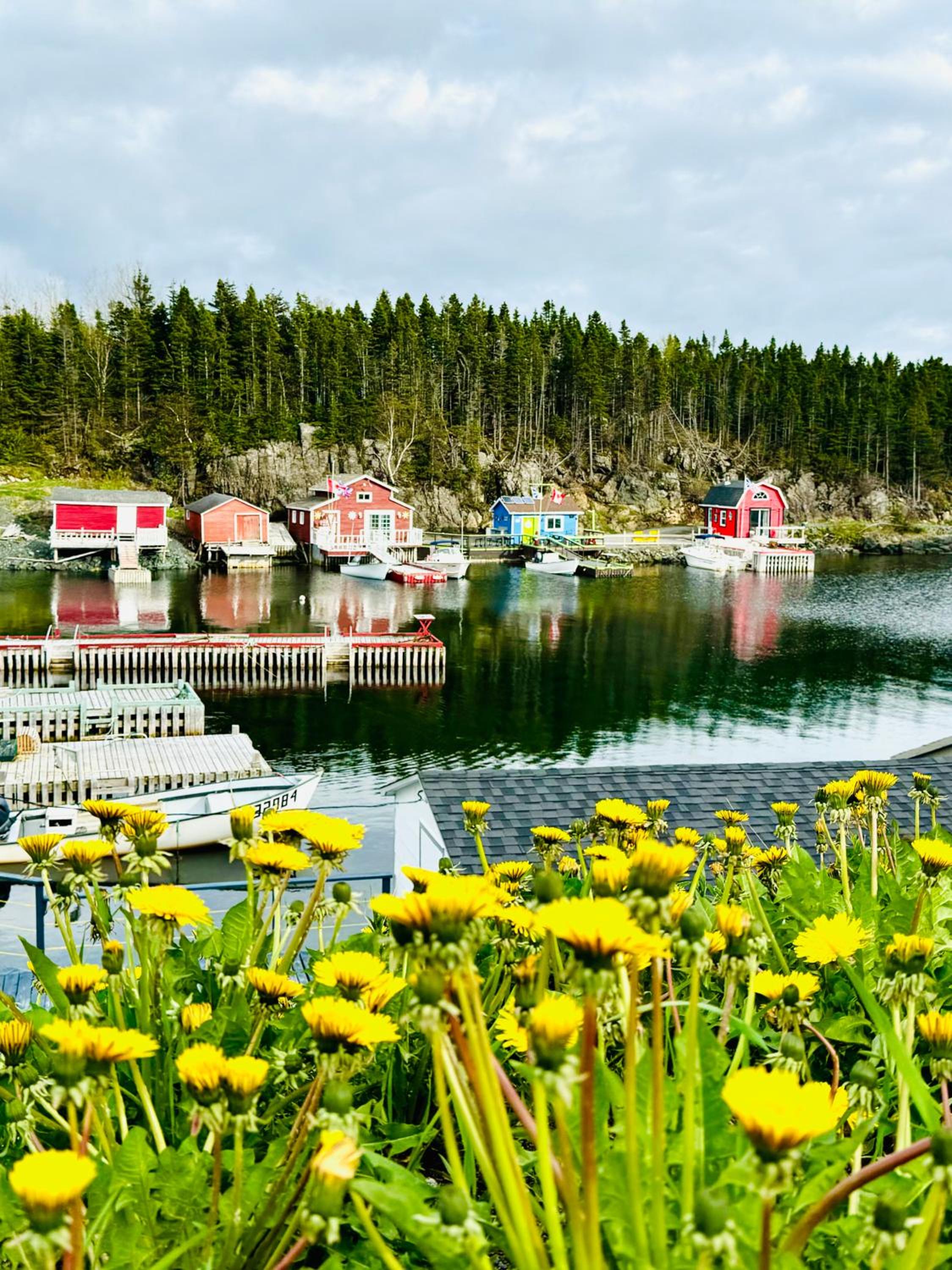The View suites and breakfast in Triton, Newfoundland