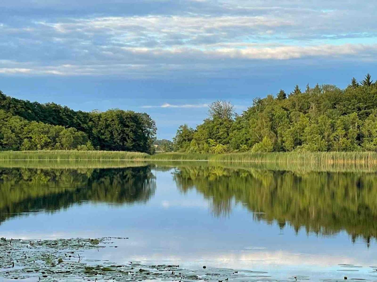 Kinderfreundliche Wohnung am See