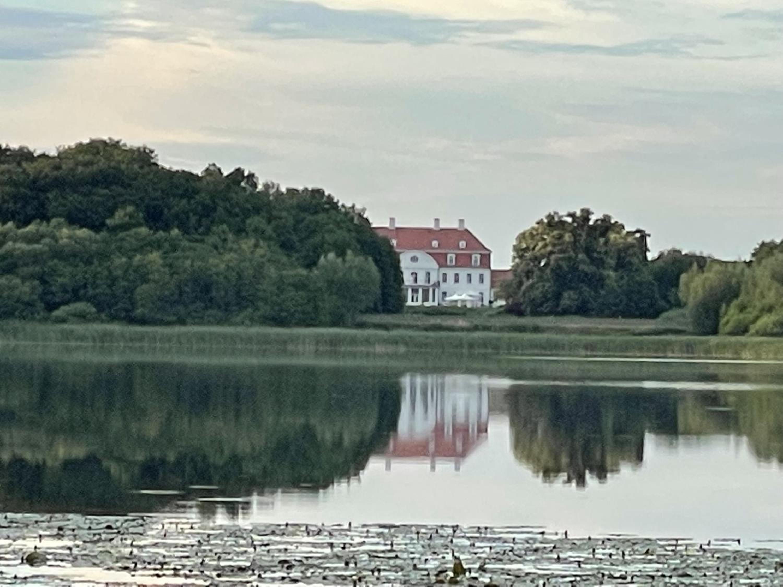 Kinderfreundliche Wohnung am See