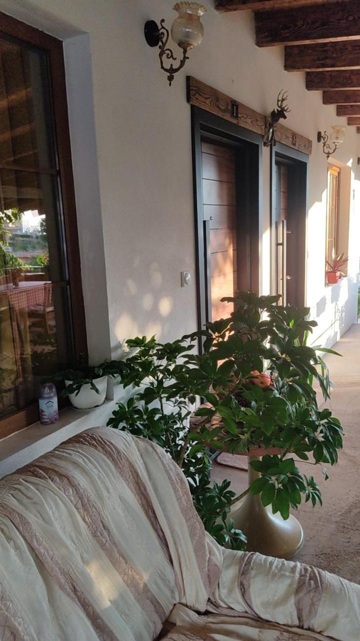 Guest House Stevovski