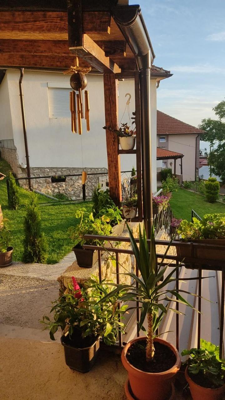 Guest House Stevovski