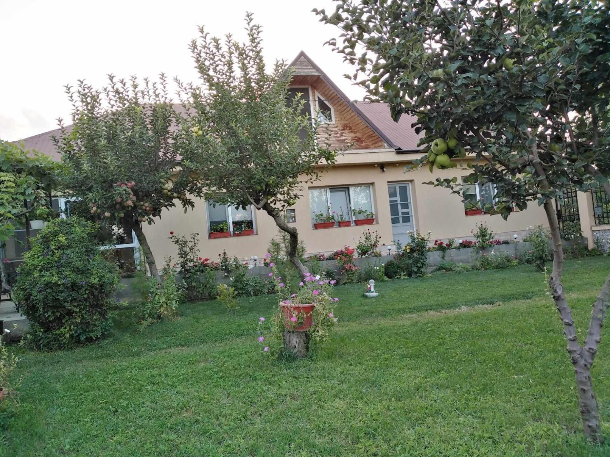Casa de inchiriat in Limanu view 3