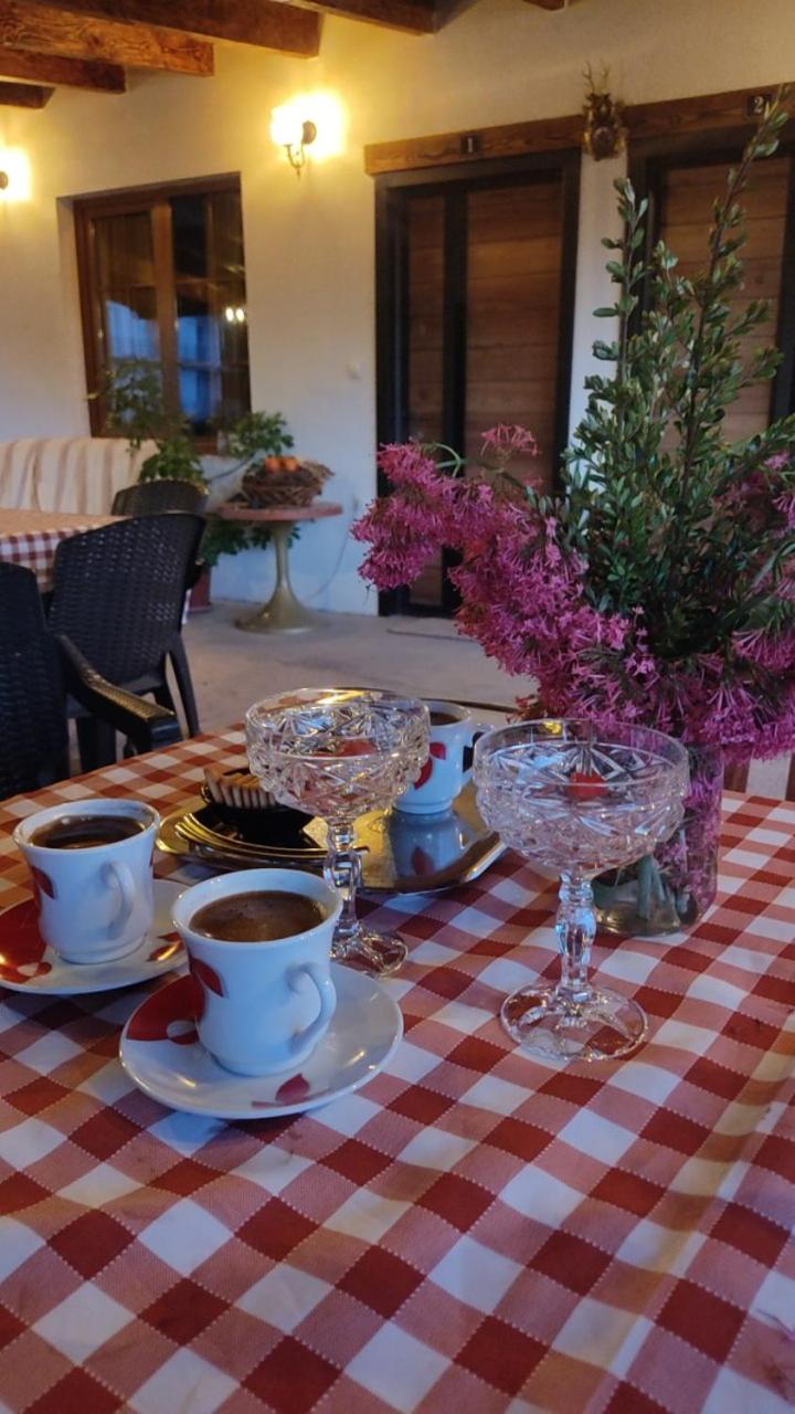 Guest House Stevovski