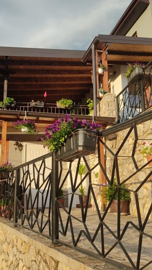 Guest House Stevovski