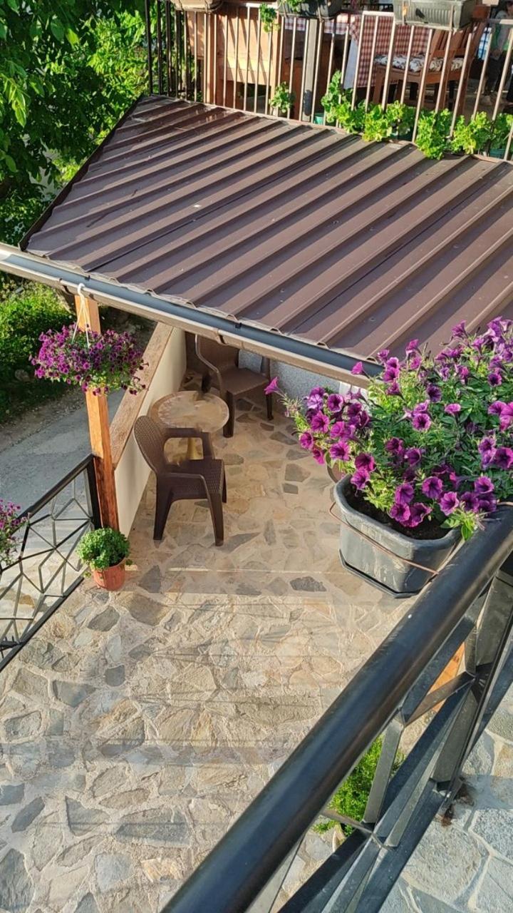 Guest House Stevovski
