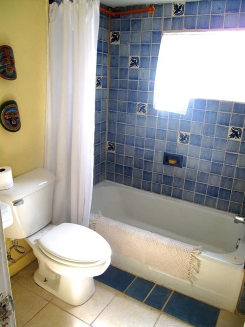 Taos Goji Farm & Eco-Lodge Retreat