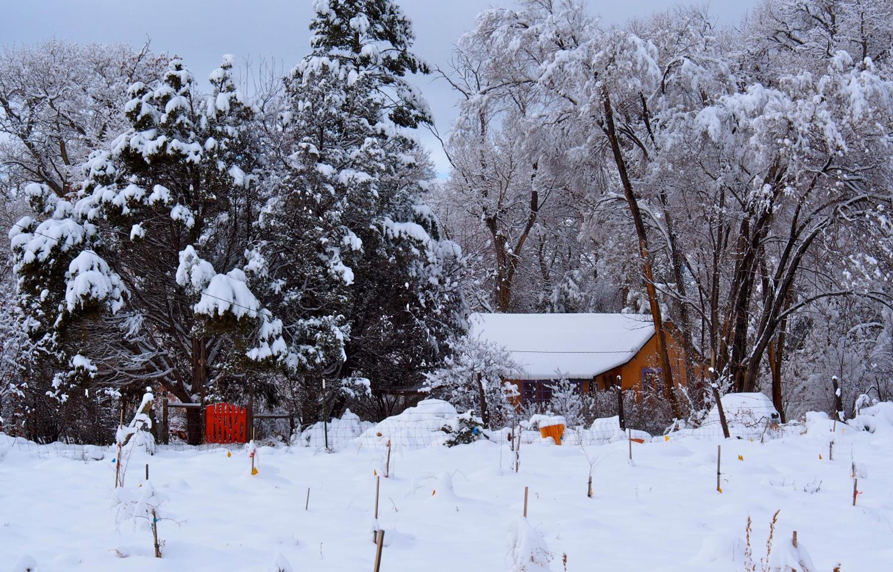 Taos Goji Farm & Eco-Lodge Retreat