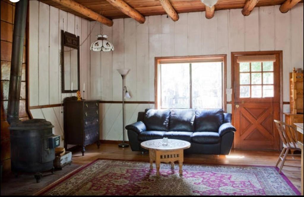 Taos Goji Farm & Eco-Lodge Retreat