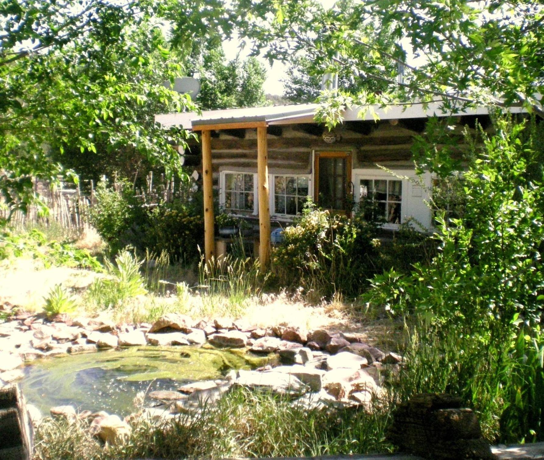 Taos Goji Farm & Eco-Lodge Retreat