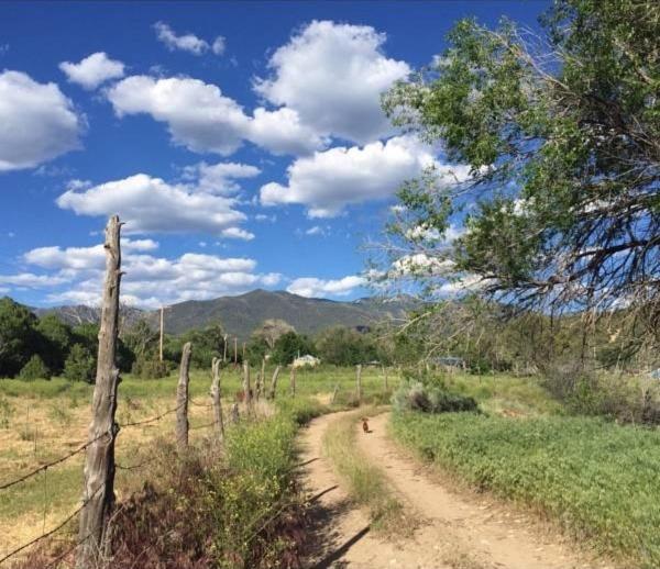 Taos Goji Farm & Eco-Lodge Retreat