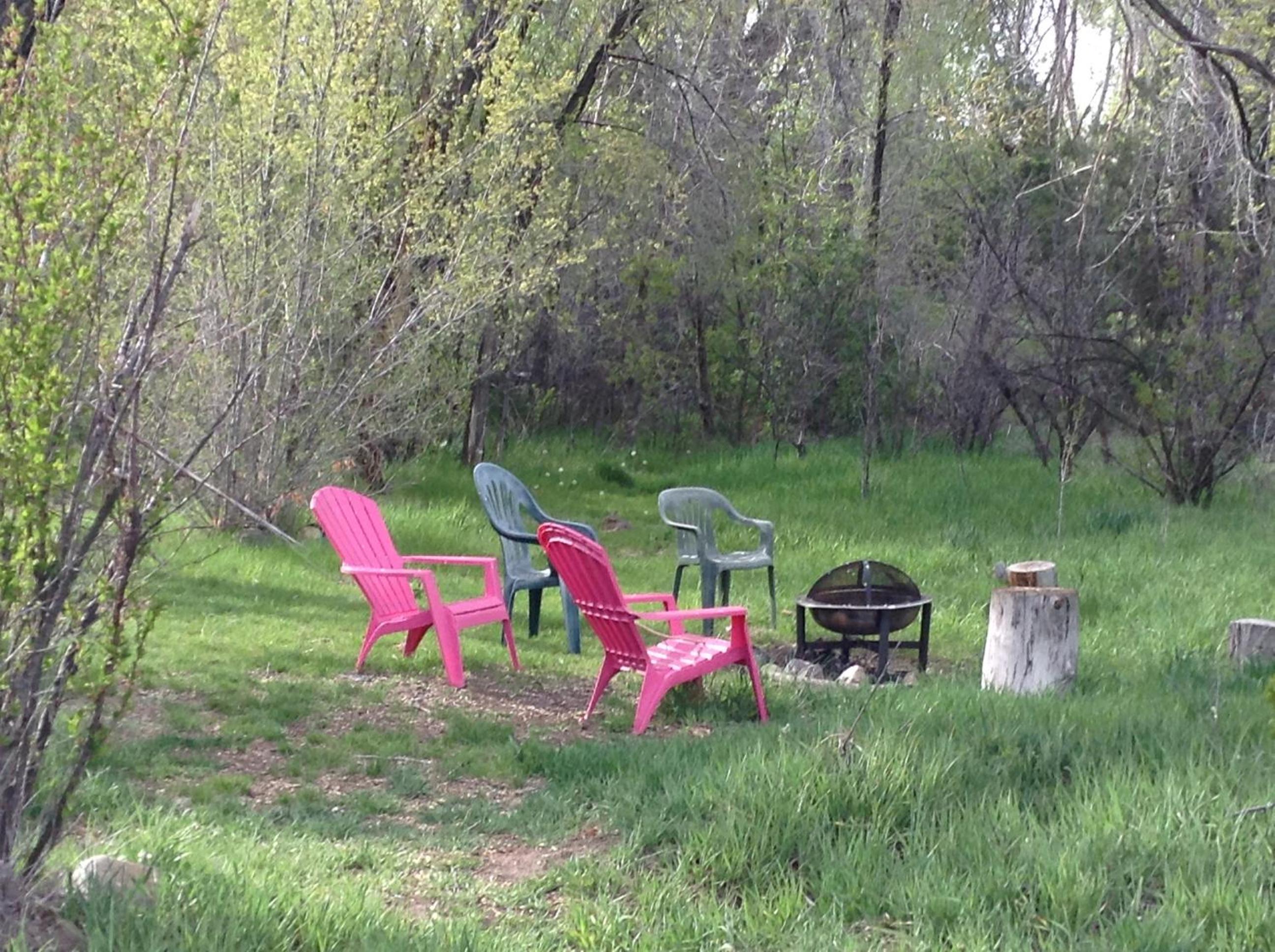 Taos Goji Farm & Eco-Lodge Retreat