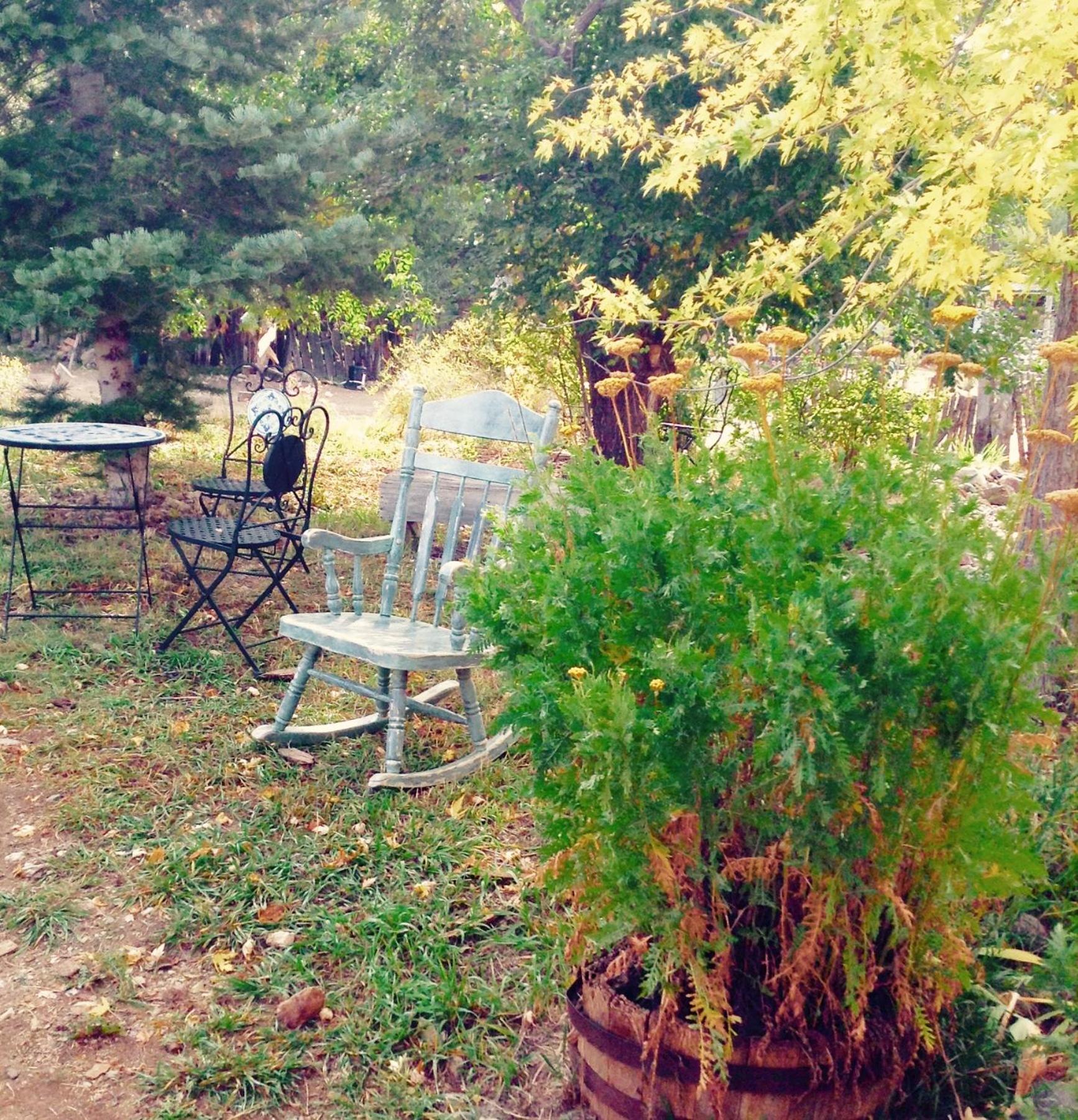 Taos Goji Farm & Eco-Lodge Retreat
