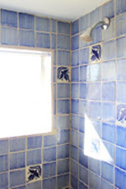Taos Goji Farm & Eco-Lodge Retreat